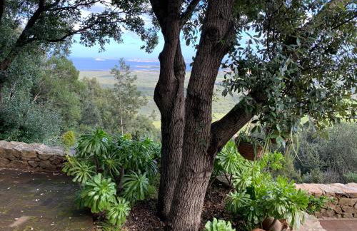 Villa Marinella - Foto 56