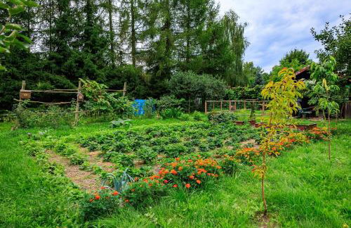 Zielona Zagroda Agnieszka Połeć - Foto 31
