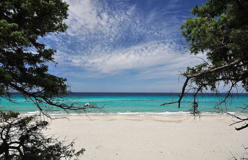Domaine Ghjulia - Casa Nebbiu - Foto 37