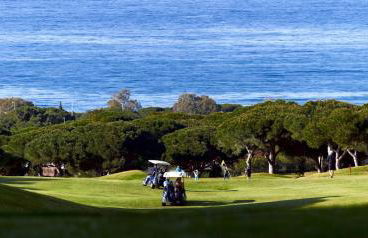 Seaside Golf haven in Cabopino Marbella - Photo 22