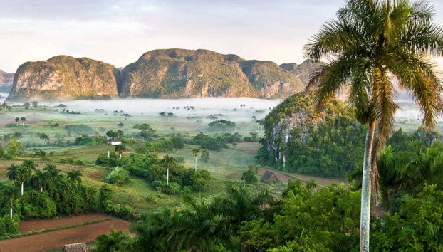 Excursion privée dans la Vallée de Viñales en voiture d'époque - Photo 2
