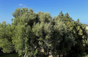 Corte dei Mori 239 - Foto 6