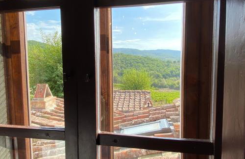 Podere Terreno alla Via della Volpaia - Foto 13