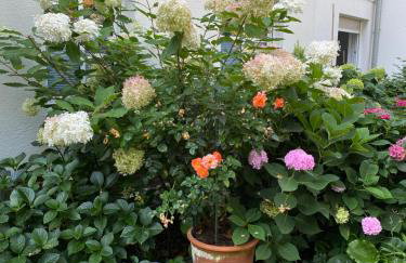 Ausspannen am Schwielowsee - Foto 20