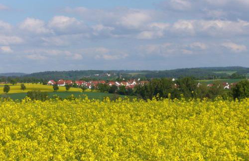 Ferienidyll Aumühle, "Wiesengrund" - Foto 44