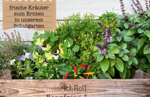 ALTE SCHULE WITTENBERG, 3 Ferienwohnungen für bis zu 12 Personen, an der Elbe, mit Garten - Foto 78