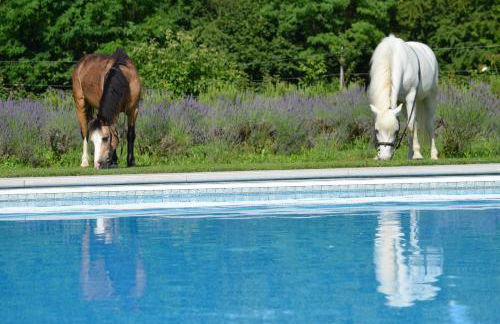 Agriturismo Domus Magna - Foto 28