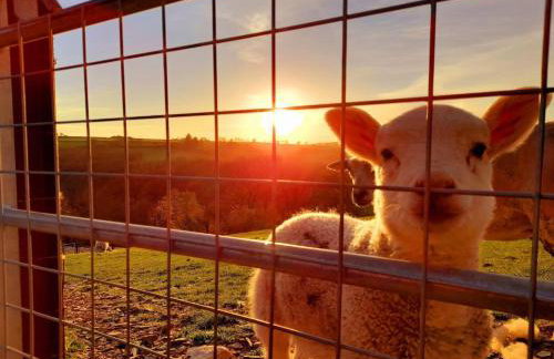 Golwg Y Cwm - Foto 35