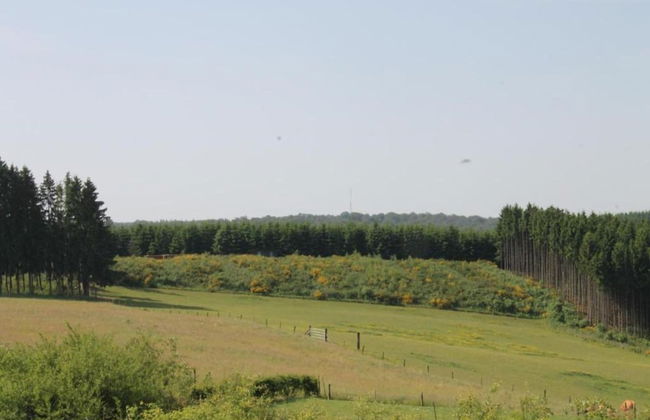 Charming Vineyard Escape - Foto 16