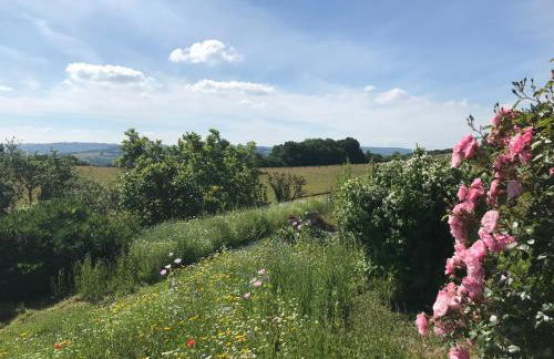 The Bothy at Oak Farm - Foto 28