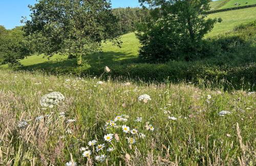 Cosy Owls Roost Hut With Private Hot Tub - Foto 41