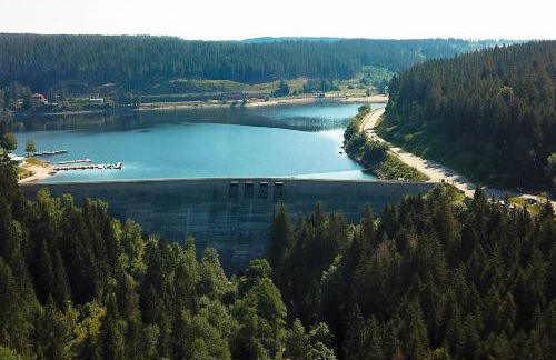 Apartment JoniFee am Titisee - Foto 23