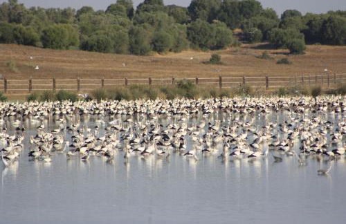 Hacienda Olontigi - Foto 51