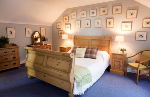 Belle Isle Castle and Cottages - Foto 44