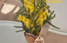 Corte Garibaldi - Foto 5