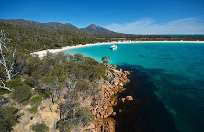 Balade en bateau dans la péninsule de Freycinet et la baie de Wineglass - Photo 7