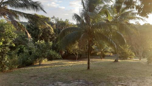 Abelha & Peixe Boi - Foto 2, Garden view