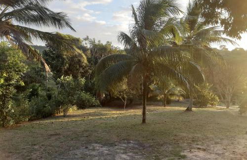 Abelha & Peixe Boi - Photo 2