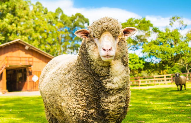 Hotel Acqua Lokos - Foto 26