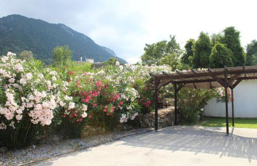 Salakos Mountain View Home - Foto 20