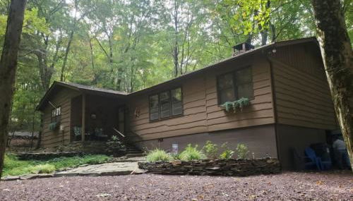 Harmony in the Woods - Foto 4