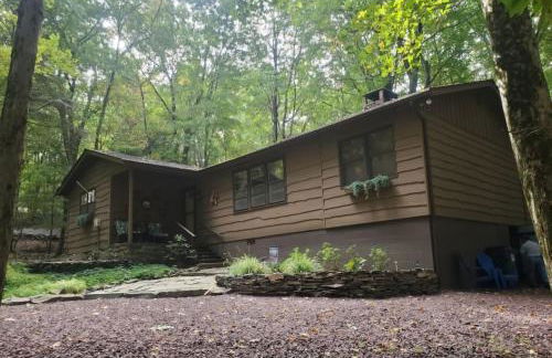 Harmony in the Woods - Foto 4