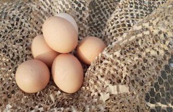 Henblas Holiday Cottages - Photo 20