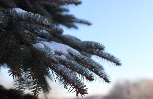 Biała Czapla - Foto 53