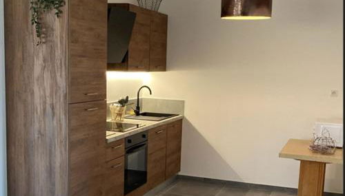 Appartement avec terrasse, proche des 1000 étangs, chapelle Le Corbusier - Foto 3