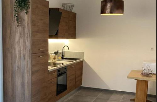 Appartement avec terrasse, proche des 1000 étangs, chapelle Le Corbusier - Foto 3