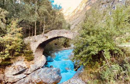 La Grange St. Cyprien, Venosc - Les Deux Alpes - Photo 39