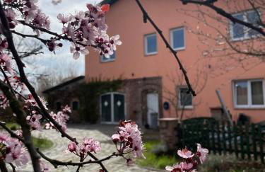 Ferienwohnung 2 Km an der A9 nähe Potsdam Berlin - Foto 20