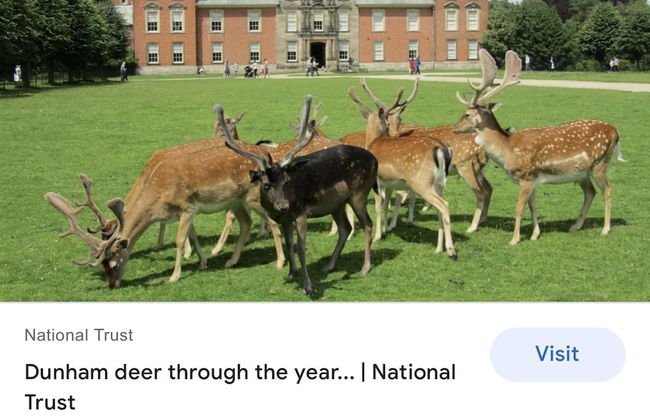 Private Studio Flat Great Location in Manchester - Foto 21