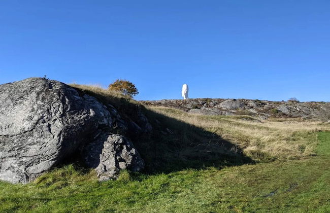 4 Person Holiday Home in Kyrkesund-by Traum - Foto 21