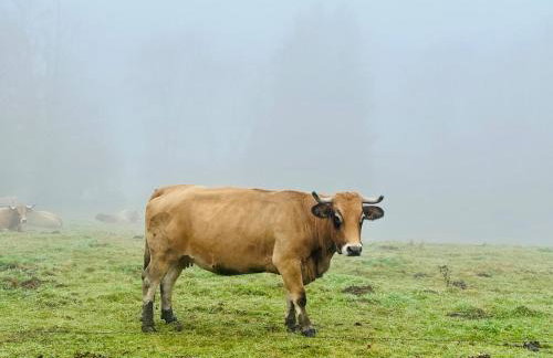 Maison de village, Route des lacs - Foto 30