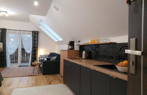 nowe Apartamenty górskie krajobrazy z widokiem na Śnieżnik - Willa Sowia - Foto 17