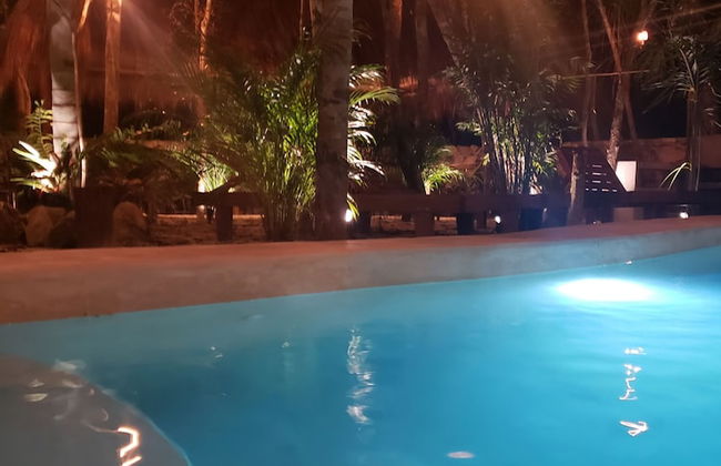 Jungle Penthouse - Photo 32