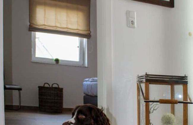 Haus Seeblick Modern Retreat - Foto 31