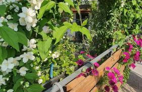 E s s e n t i a l Pompei - Foto 54