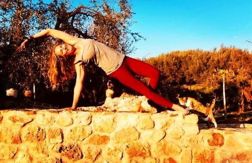 La Cuadra de Finca Don Carmelo - Foto 15