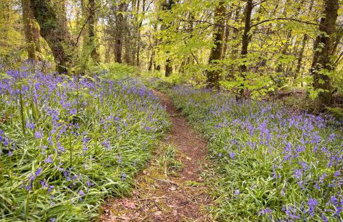 HiveAway - Hot Tub - Carmarthenshire - Pembrokeshire - Foto 11