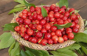 Agriturismo Il Rifugio - Foto 17