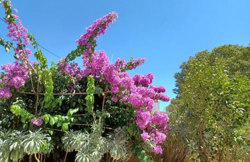 Apartman Mi - Foto 5