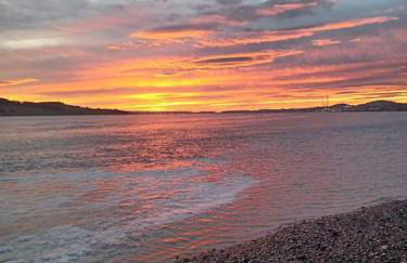 The Fuzzy Duck - Photo 28