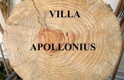 Siracusa Solemare - Foto 30