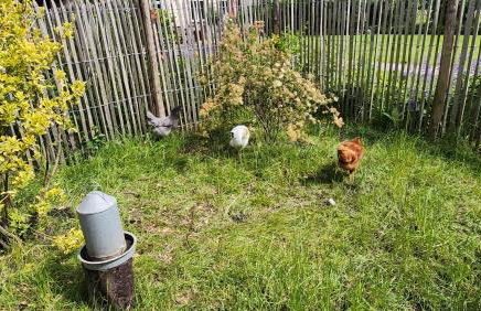 Ferienwohnung Dom - Foto 38