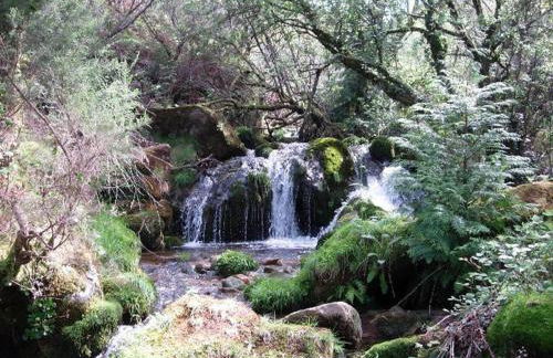 Casa da Ferreirinha - Foto 30