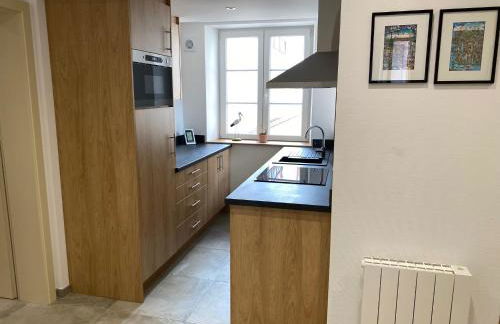 Logement de charme dans un monument historique daté de 1544, au centre de Haguenau - Photo 4