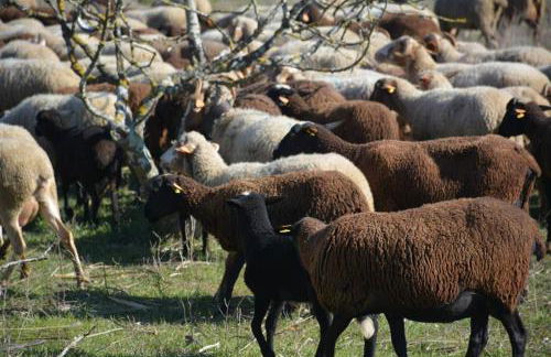 Páteo da Memória Casa do Pintor - Foto 28