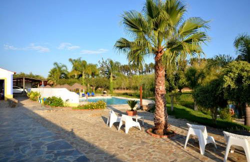 Herdade do Sardanito da Frente - Foto 18